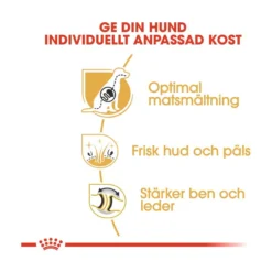 Royal Canin German Shepherd Adult