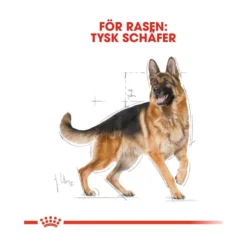 Royal Canin German Shepherd Adult