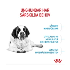 Royal Canin Giant Junior