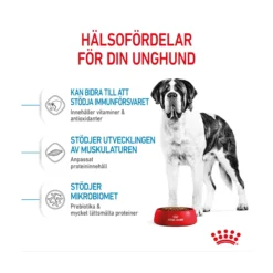 Royal Canin Giant Junior