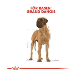 Royal Canin Great Dane Adult