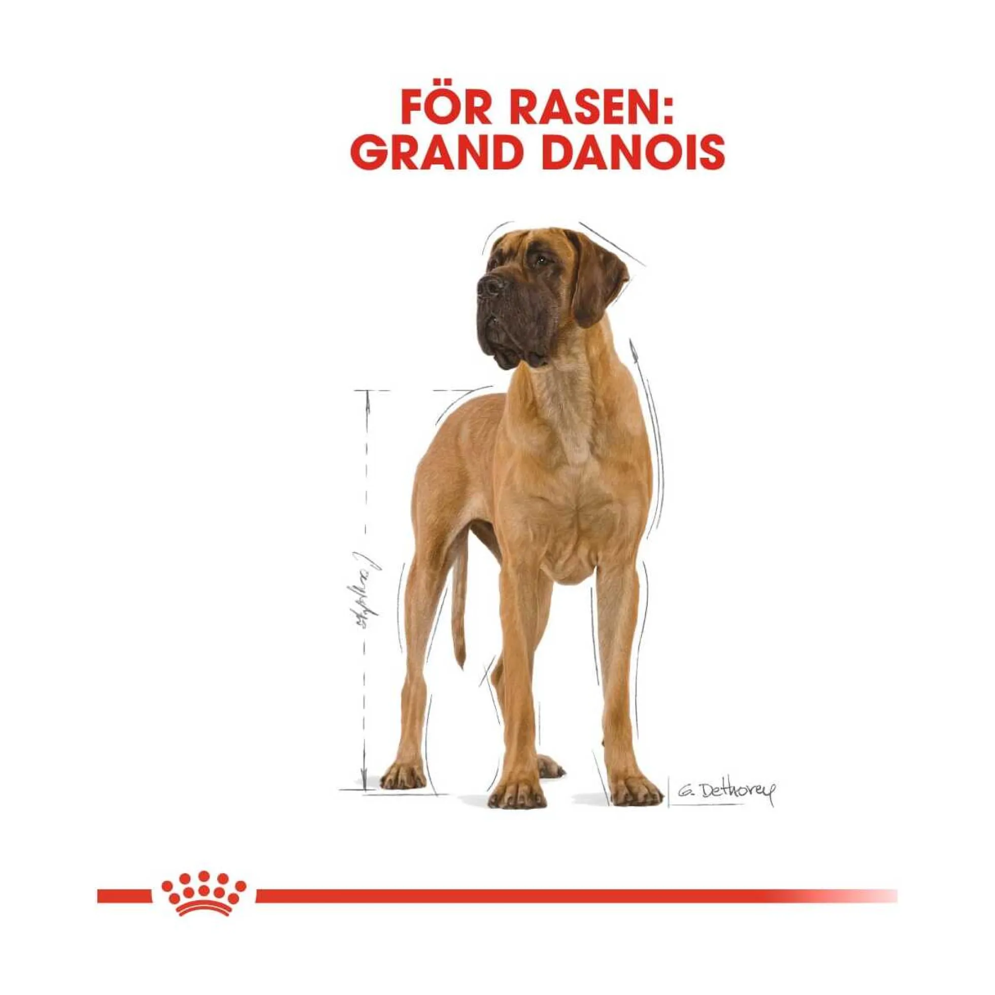 Royal Canin Great Dane Adult