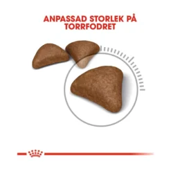 Royal Canin Hairball Care