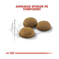 Royal Canin Indoor Long Hair