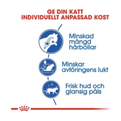 Royal Canin Indoor Long Hair