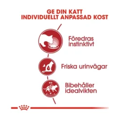 Royal Canin Instinctive Jelly