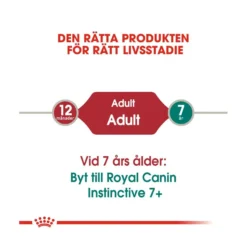 Royal Canin Instinctive Jelly