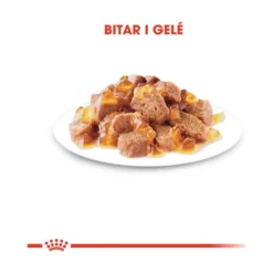 Royal Canin Instinctive Jelly