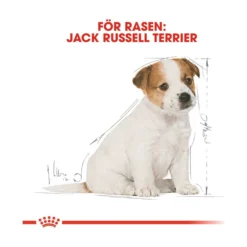 Royal Canin Jack Russell Puppy