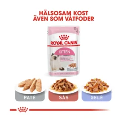 Royal Canin Kitten