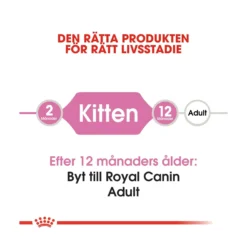 Royal Canin Kitten