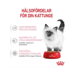 Royal Canin Kitten Gravy