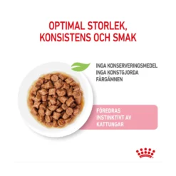 Royal Canin Kitten Gravy