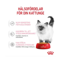 Royal Canin Kitten Jelly