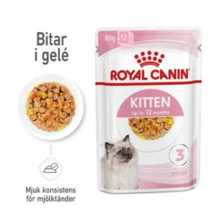 Royal Canin Kitten Jelly