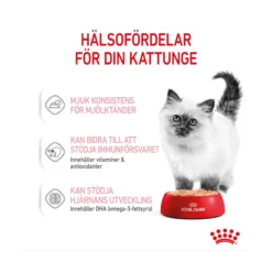 Royal Canin Kitten Loaf