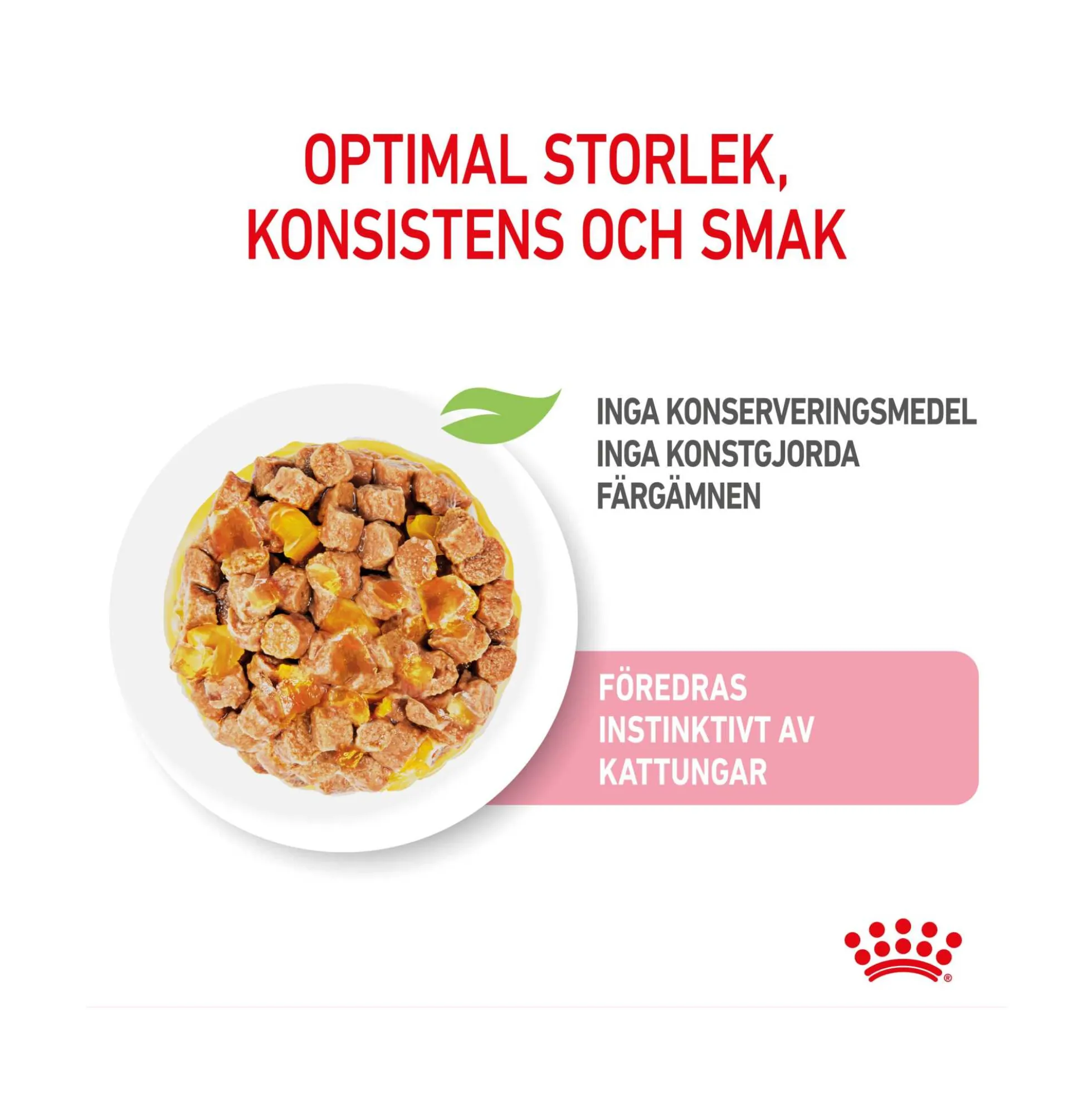 Royal Canin Kitten Sterilised Jelly
