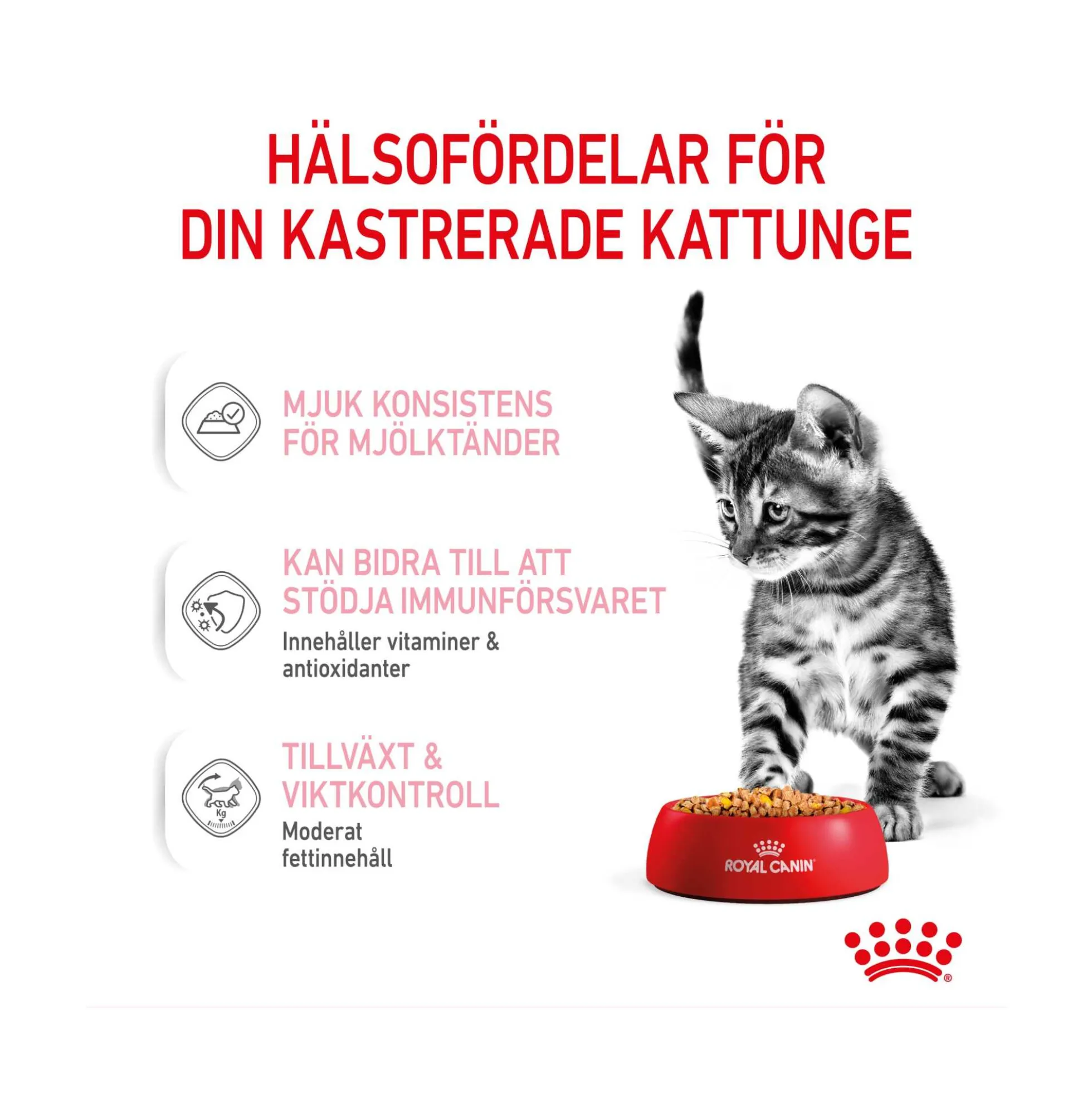 Royal Canin Kitten Sterilised Jelly