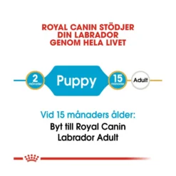 Royal Canin Labrador Retriever Puppy