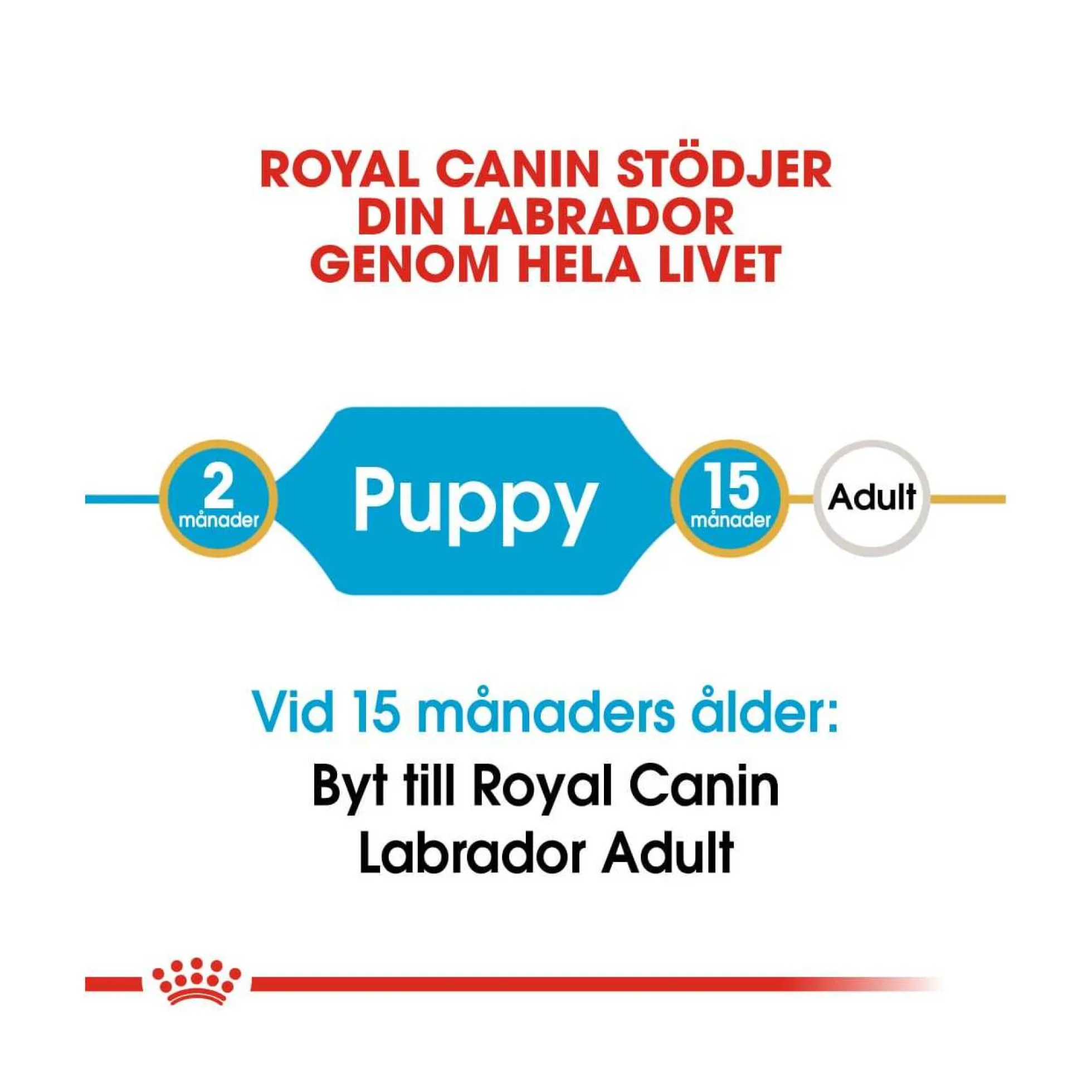 Royal Canin Labrador Retriever Puppy