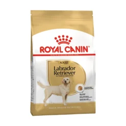 Royal Canin Labrador Retriever Adult