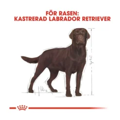 Royal Canin Labrador Retriever Sterilised