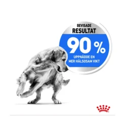 Royal Canin Light Weight Care Maxi