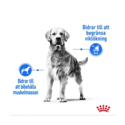 Royal Canin Light Weight Care Medium