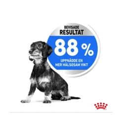 Royal Canin Light Weight Care Mini