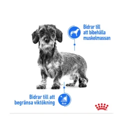 Royal Canin Light Weight Care Wet
