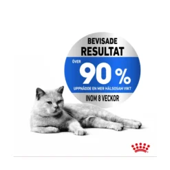 Royal Canin Light Weight Care