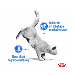 Royal Canin Light Weight Care