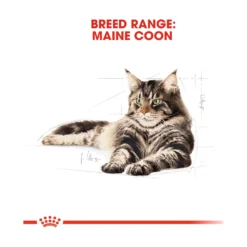 Royal Canin Maine Coon Adult
