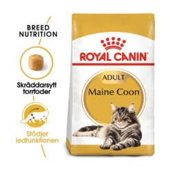 Royal Canin Maine Coon Adult