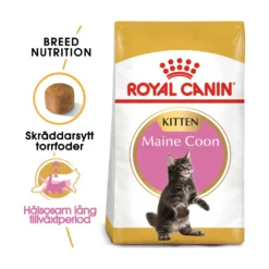 Royal Canin Maine Coon Kitten
