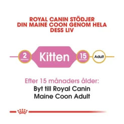 Royal Canin Maine Coon Kitten
