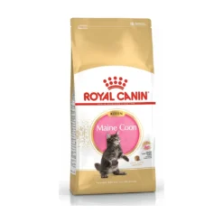 Royal Canin Maine Coon Kitten