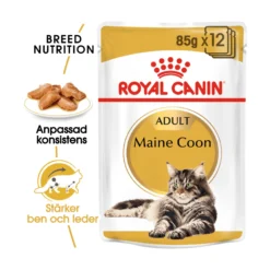 Royal Canin Maine Coon Wet