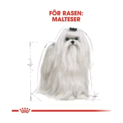 Royal Canin Maltese Adult