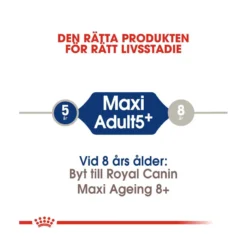 Royal Canin Maxi Adult 5+