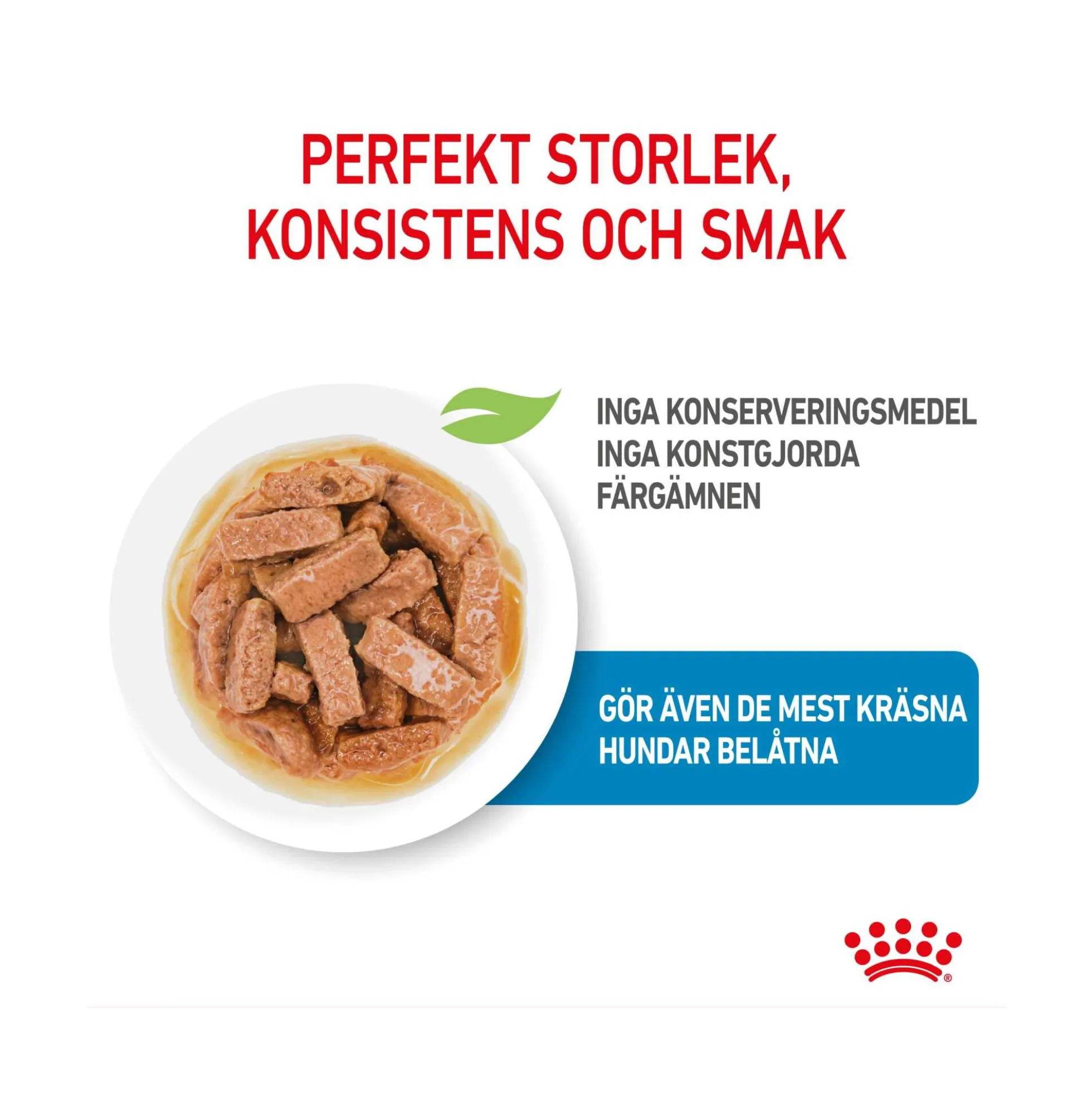 Royal Canin Maxi Puppy Wet