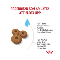 Royal Canin Maxi Starter Mother & Babydog