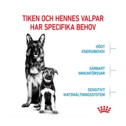 Royal Canin Maxi Starter Mother & Babydog