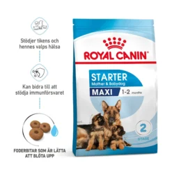 Royal Canin Maxi Starter Mother & Babydog