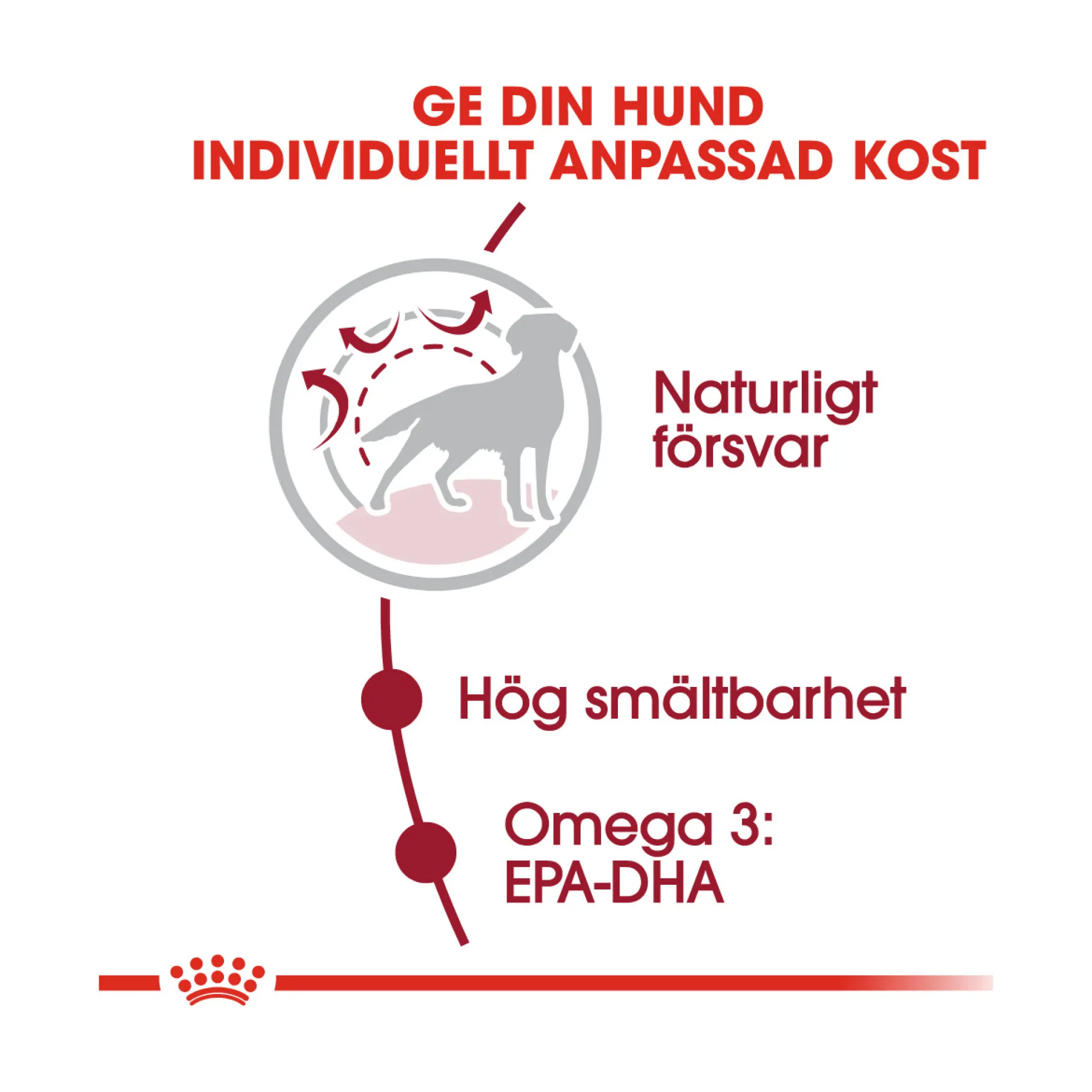 Royal Canin Medium Adult
