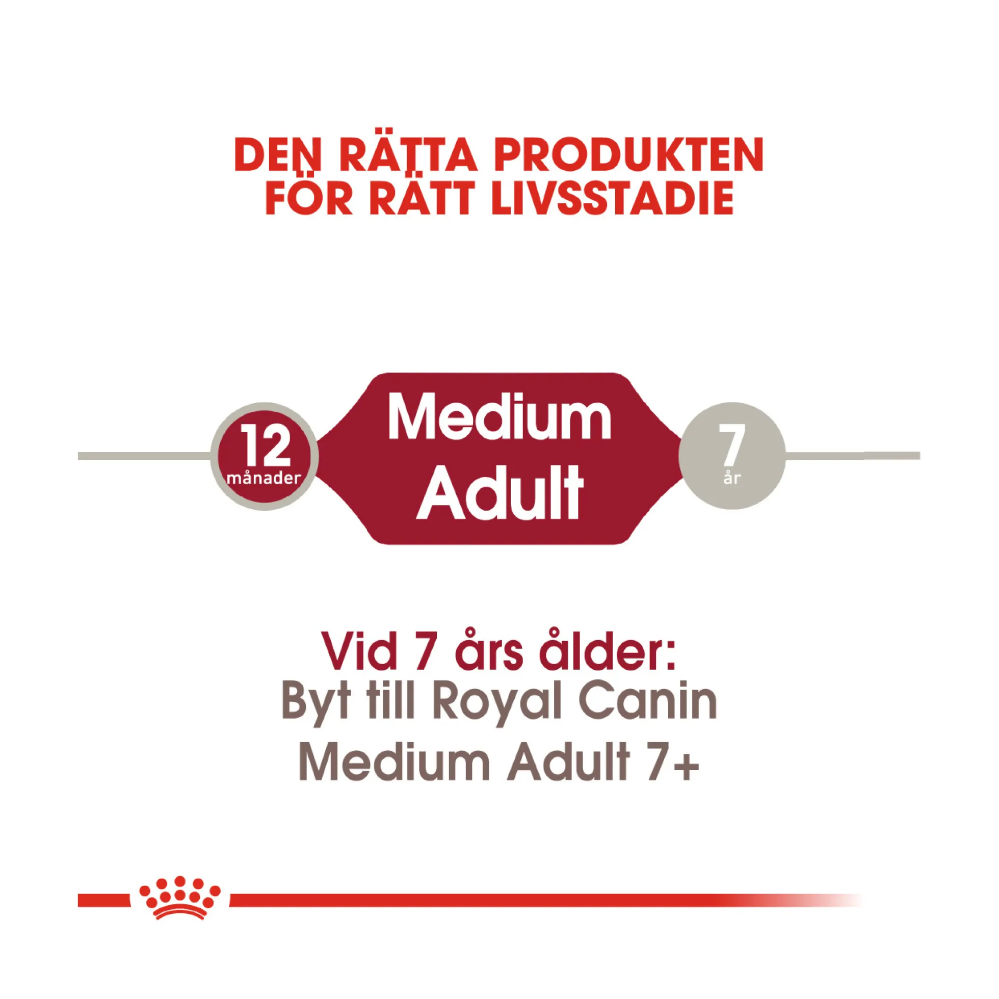 Royal Canin Medium Adult
