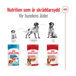 Royal Canin Medium Ageing 7+ Wet