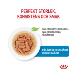 Royal Canin Medium Puppy Wet