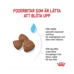 Royal Canin Medium Starter Mother & Babydog