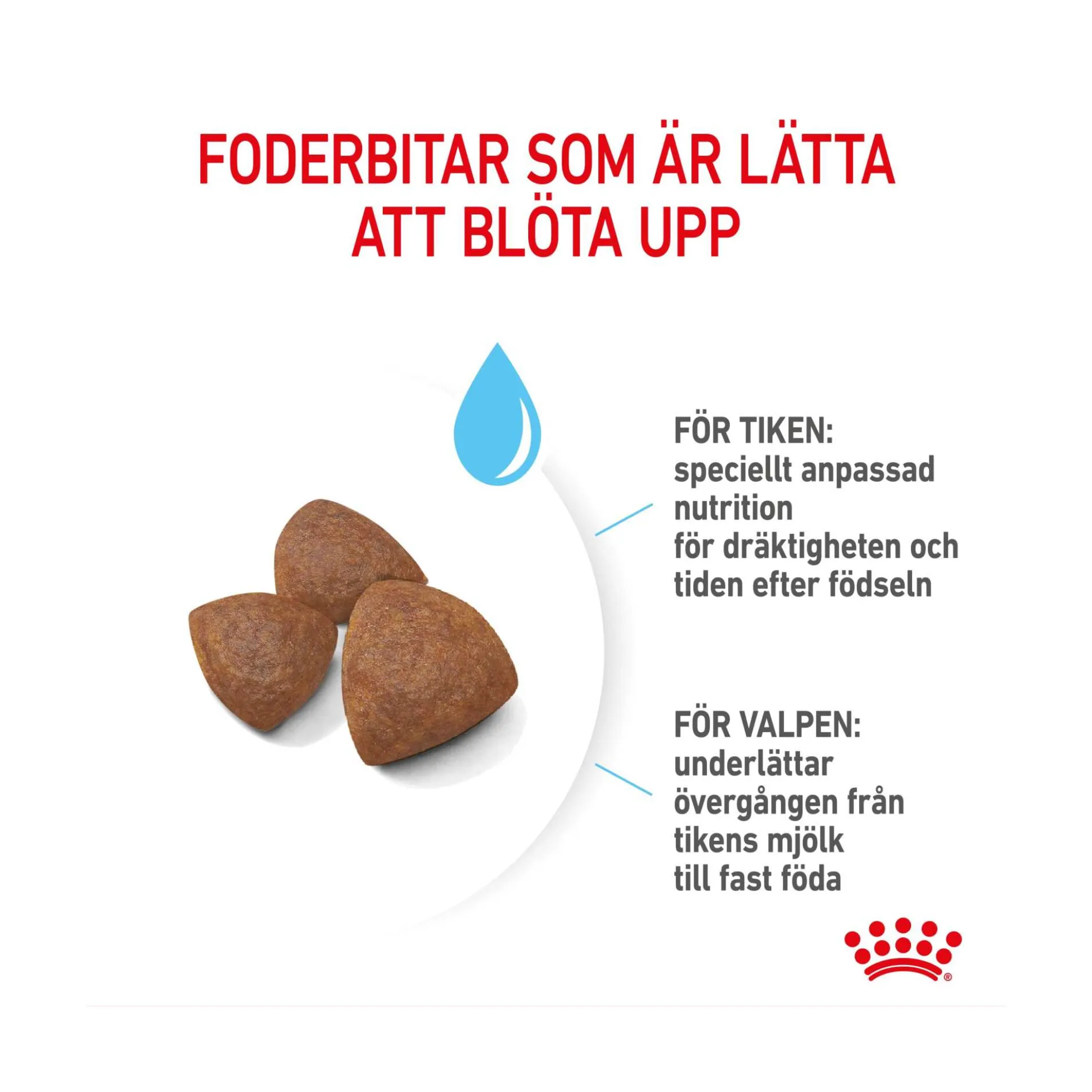 Royal Canin Medium Starter Mother & Babydog